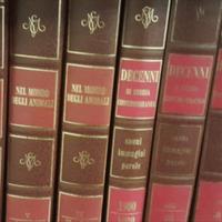 enciclopedia da collezione 
