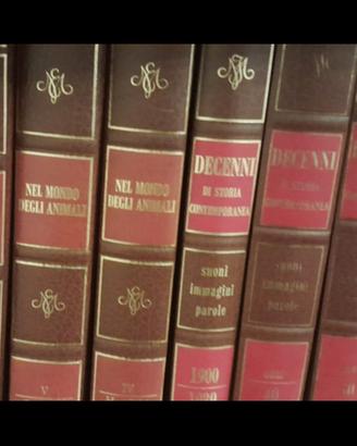 enciclopedia da collezione 