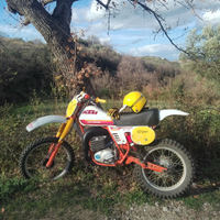 Ktm gs 250