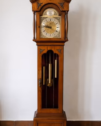 Orologio a pendolo Tempus Fugit
