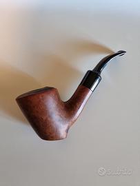 Pipa Prince of Wales