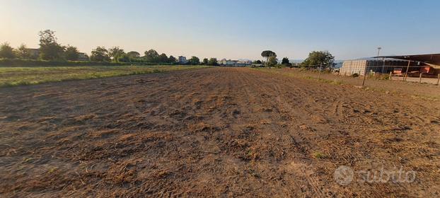 Terreno agricolo zona varignano