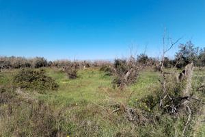 Terreno agricolo 4200 mq