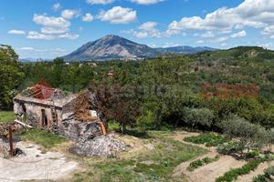 Terreno Agricolo San Martino Valle Caudina
