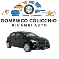 RICAMBI USATI Renault Clio 2025