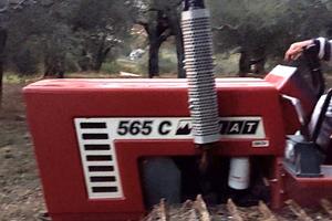 trattore fiat 565 c montagna 