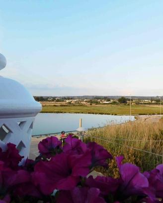 T.SG Monolocale a ridosso dalle spiagge vista mare