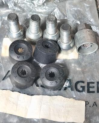 Perni antifurto per auto gruppo Volkswagen