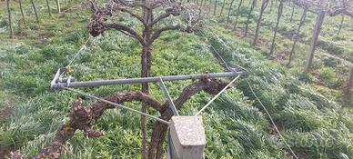 BRACCETTI  VIGNETO  GDC