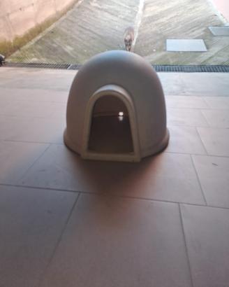 Cuccia per animali 