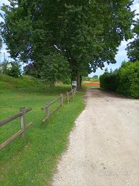 Terreno edificabile a soli 9 km da Ravenna