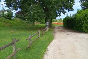 Terreno edificabile a soli 9 km da Ravenna