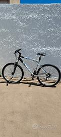 Mountain Bike Avalanche