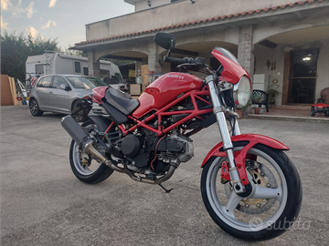 Ducati monster