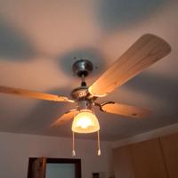 Ventilatore a pale con luce