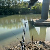 Canna e mulinello da carpfisching