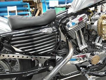 Fianchetti Fregi Scocche Serbatoio Olio Rigati Har