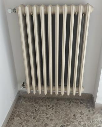 Termosifone in ghisa