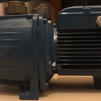 Elettropompa Autoadescante PEDROLLO JSWm 1c