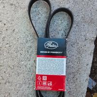 Cinghia Servizi 6PK1395 - Gates- codice ean: 54144