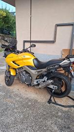 TDM 900