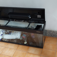 Acquario 150 L completo di mobiletto