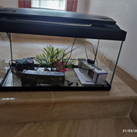 Acquario 62litri, insieme 2 motori per la pulizia