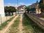 Immagine 29