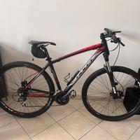 MTB Argo 29