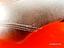 Immagine 22