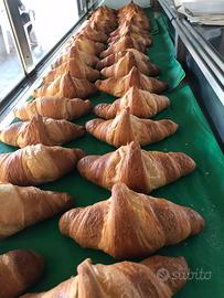 Bar cornetteria in baia domizia centralissimo