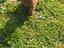 Immagine 6