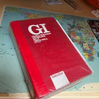 Dizionario Gi