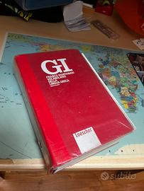 Dizionario Gi