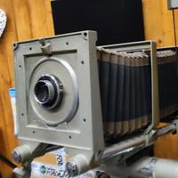 banco ottico Lupo Studio 7