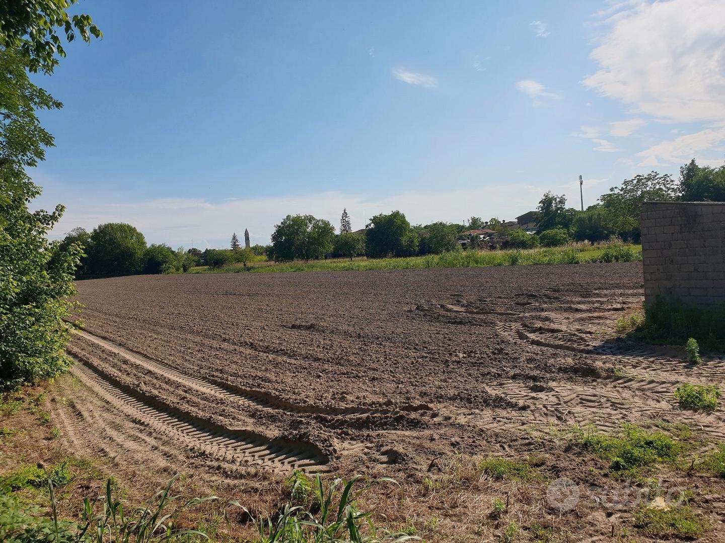 terreno agricolo a Portoviro - Vista 5