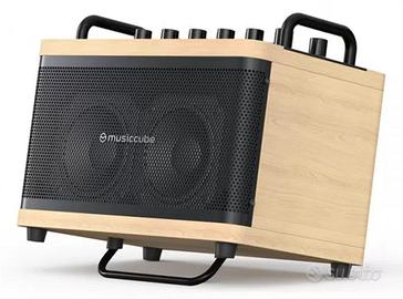 CASSA PROFESSIONALE PER CHITARRA