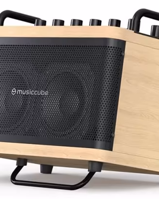 CASSA PROFESSIONALE PER CHITARRA