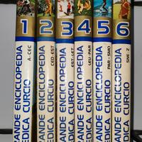 GRANDE ENCICLOPEDIA MEDICA CURCIO 6 VOLUMI 