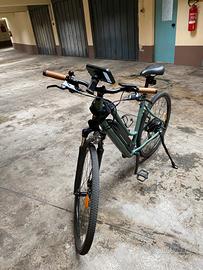 Bicicletta elettrica pedalata assistita