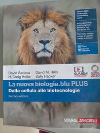 libri scolastici