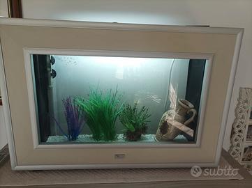 Acquario da muro