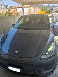 tesla model y dual motor