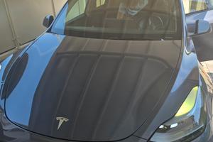 tesla model y dual motor