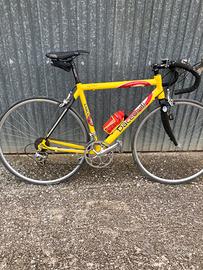 Bici da corsa Daccordi