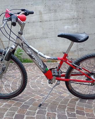 Bicicletta per ragazzo
