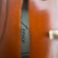 Violino Fenice