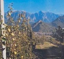 Terreno frutteto