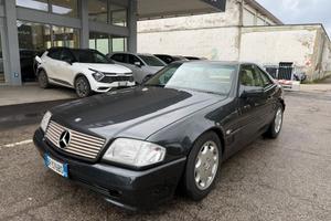 Mercedes-benz SL 300 SL-24 cat