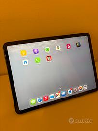 Ipad pro 11 1 gen 256gb